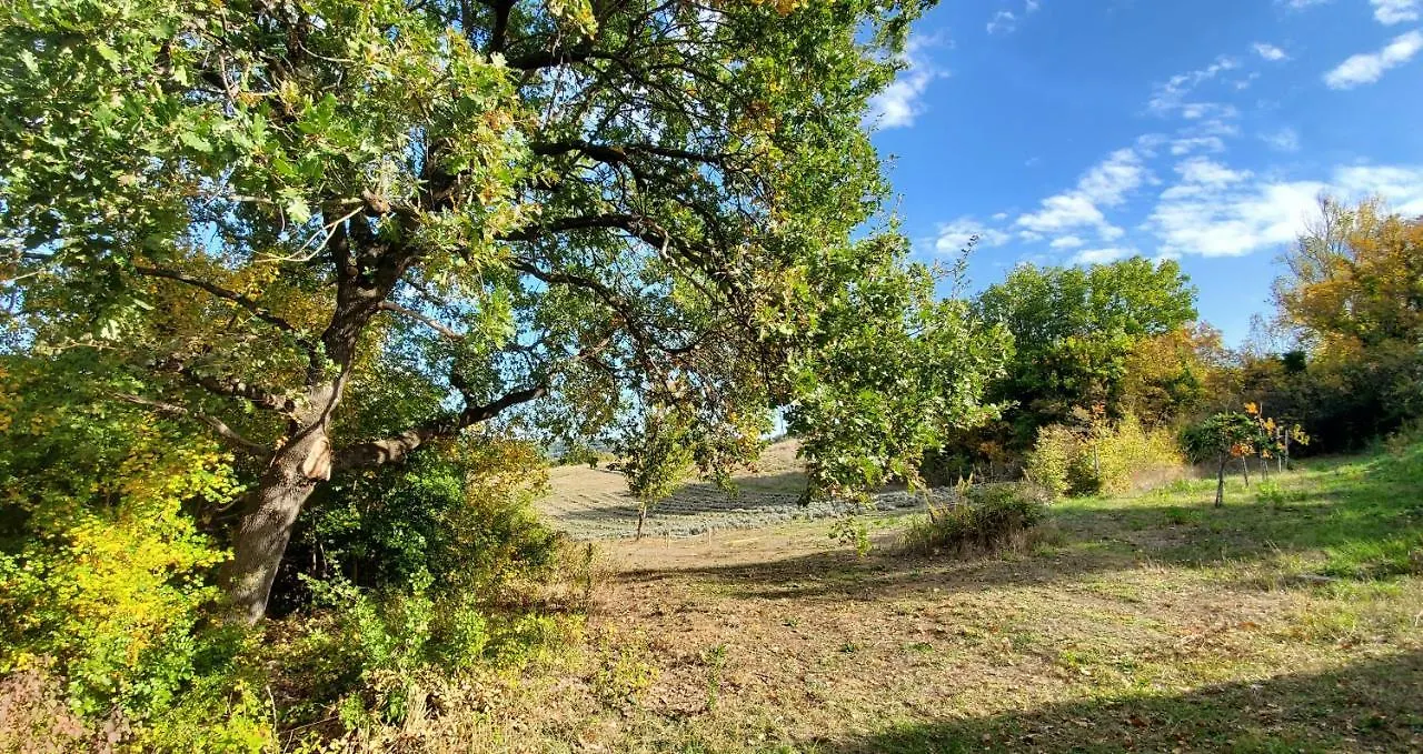 Farm stay La Volpaia 1521 Villa Barberino Val d'Elsa