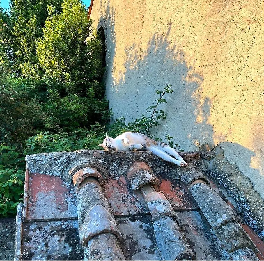 La Volpaia 1521 Villa Barberino Val d'Elsa Farm stay